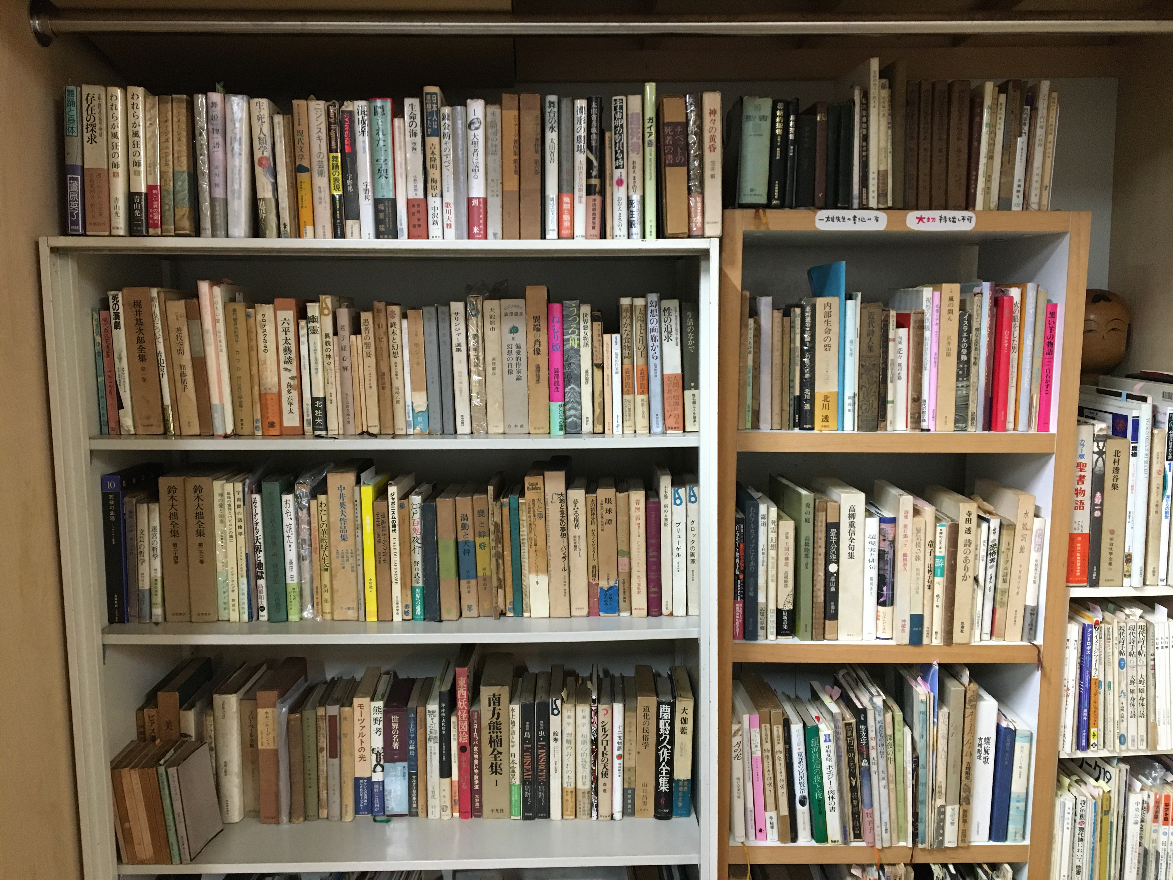 潜在的ダンスの可能性―大野一雄の蔵書調査から / 宮川麻理子